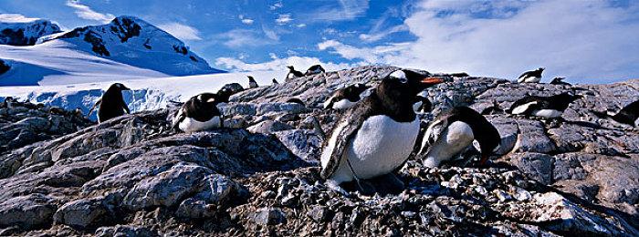 虚幻引擎5.4全新功能曝光 为游戏开发注入强大动力