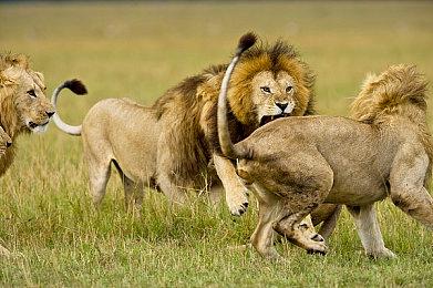 西山居新游《剑侠情缘·零》首曝 3月5日仗剑首测