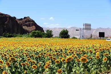 Humble Bundle宣布7款游戏加入微软XGP服务