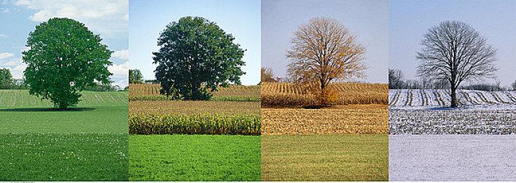 传华纳将关闭《自杀小队》开发商Rocksteady